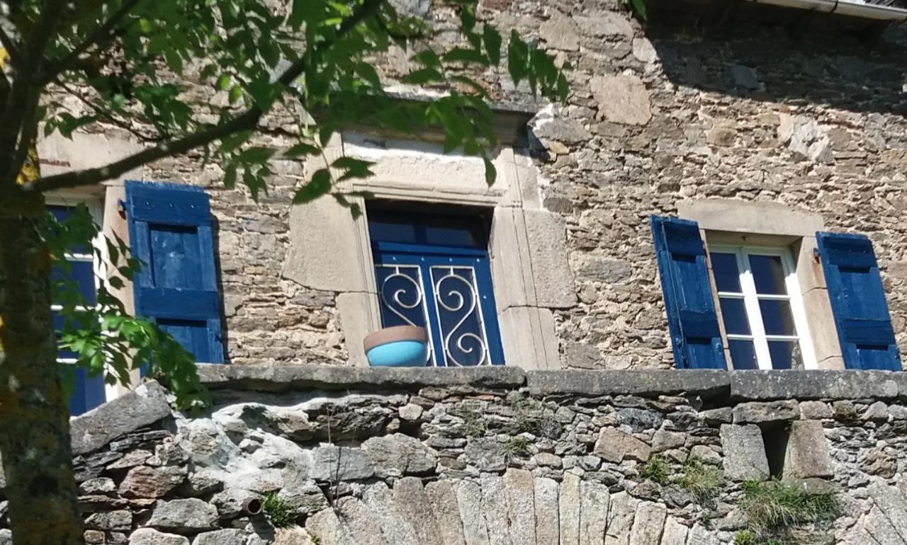 Hotel Domaine D'Angel-Berg Vezins-de-Levezou Exterior foto